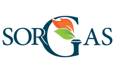 Sorgas